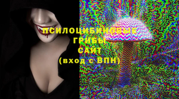 сатива Богданович