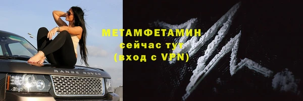 сатива Богданович