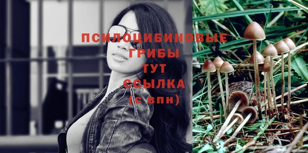 прущая мука Богородск