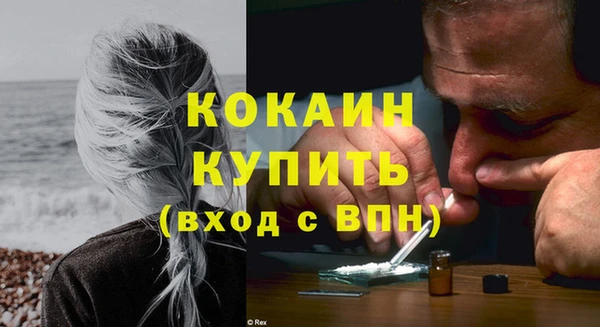 сатива Богданович