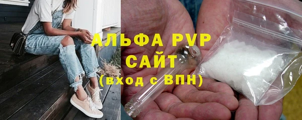 сатива Богданович