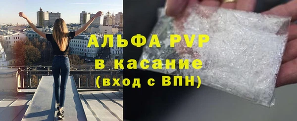 сатива Богданович