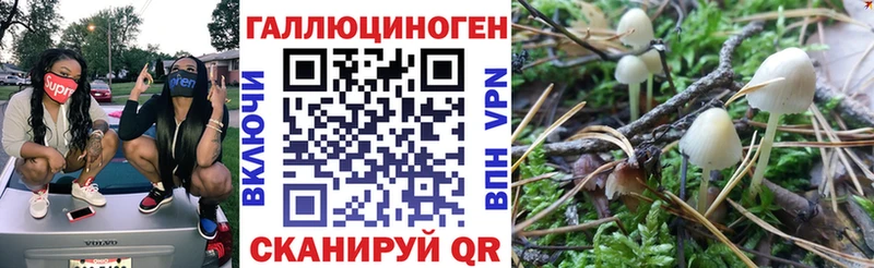 Псилоцибиновые грибы ЛСД  Стерлитамак 